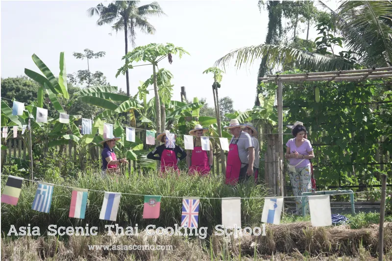 Picking Lemongrass at 8 A.M.: What a Farm Kitchen Outside Chiang Mai Taught Me That No Restaurant Could